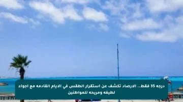 درجة 35 فقط.. الأرصاد تكشف عن استقرار الطقس في الأيام القادمة مع أجواء لطيفة ومريحة للمواطنين